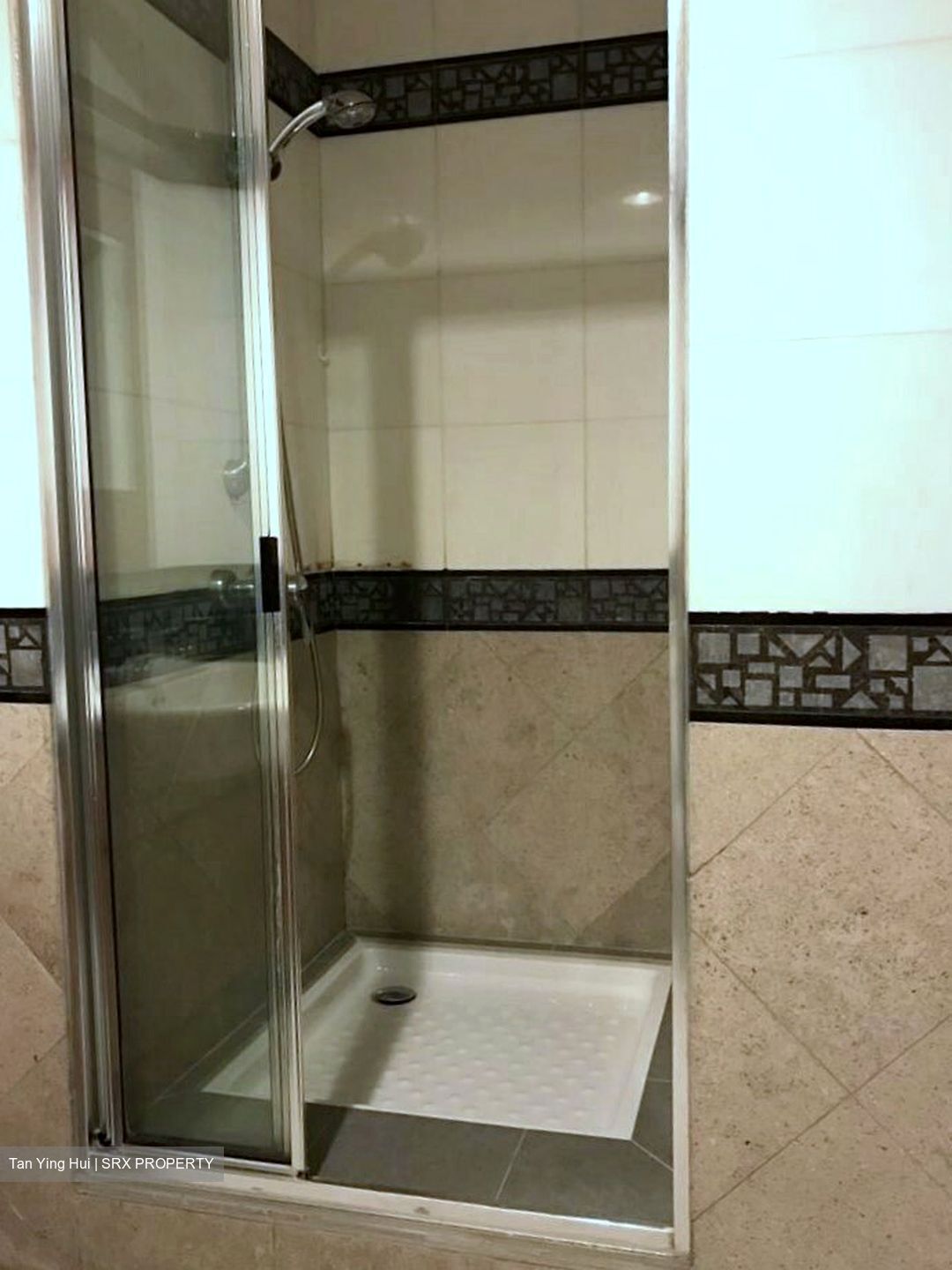 The Legend (D10), Condominium #385350151
